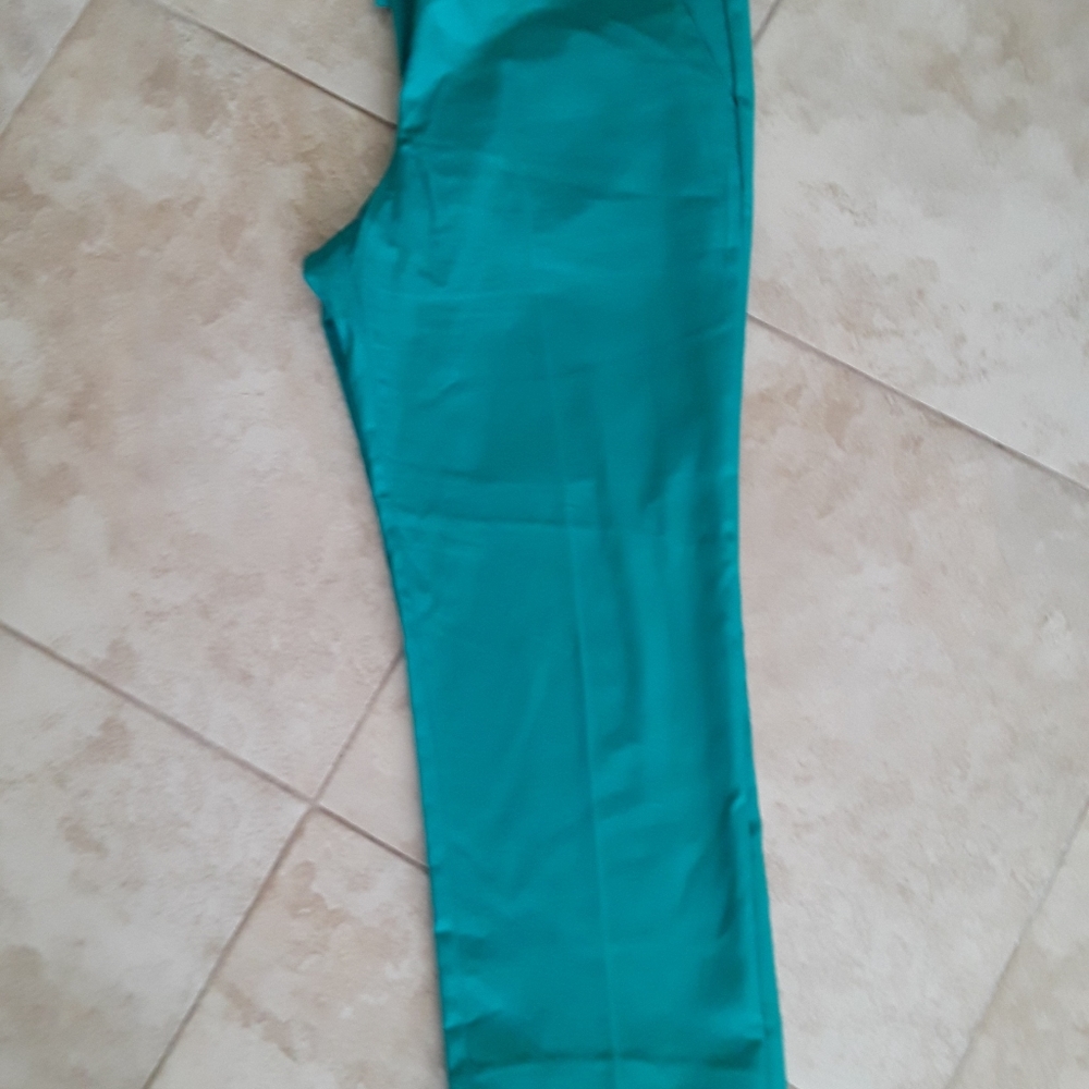 Audrey & Celine Teal Ankle Pants